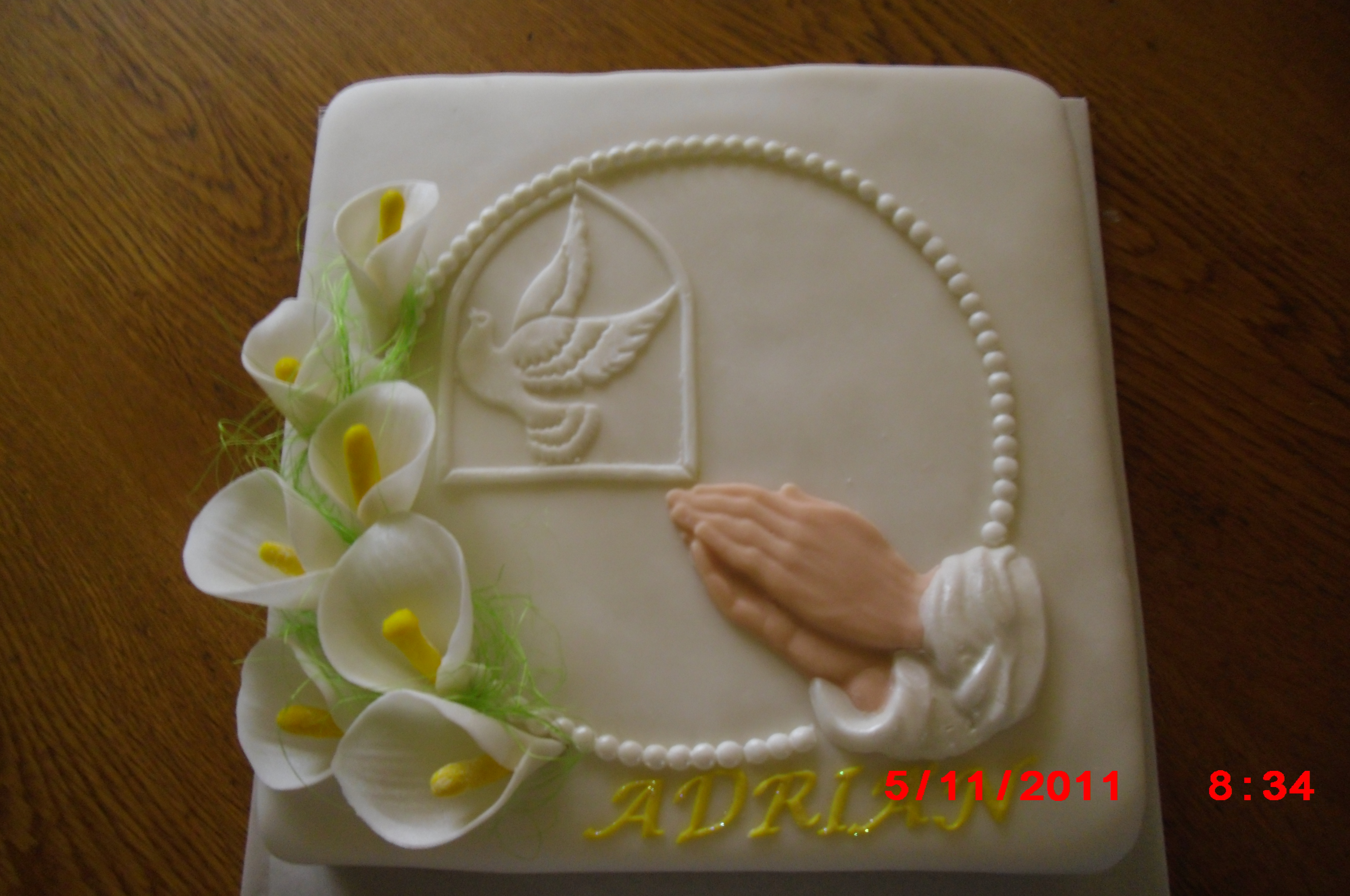 nove fotky 080